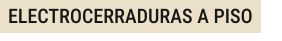 ELECTROCERRADURAS A PISO